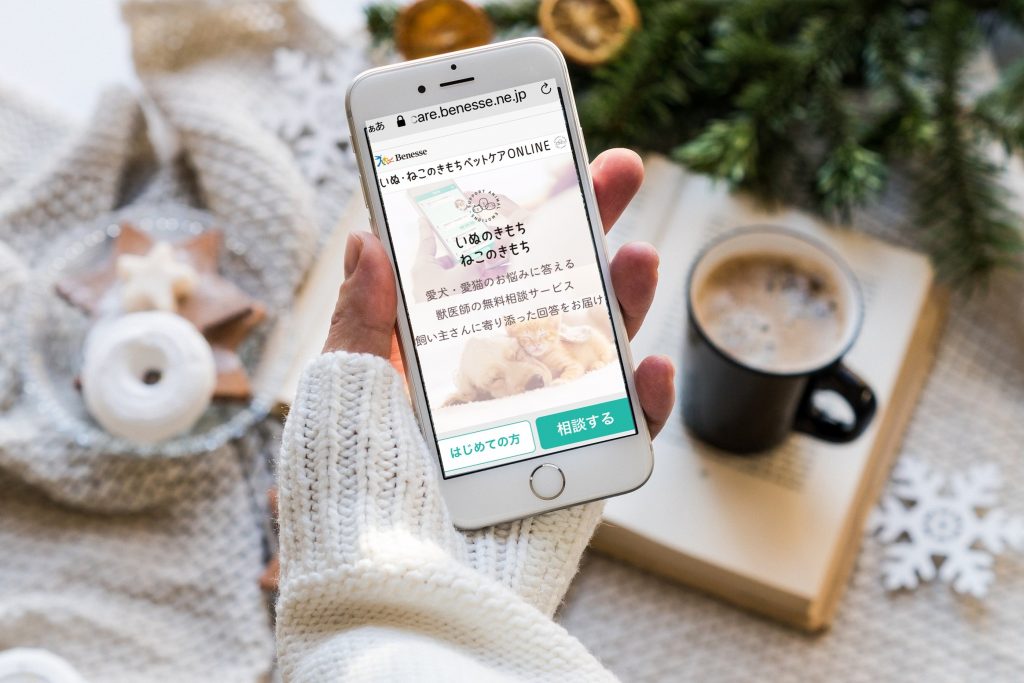 ねこのきもち を定期購読してみた 登録方法と解約方法を画像付きで解説 かごめchannel