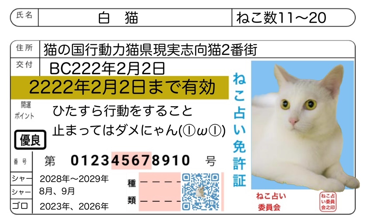 白猫(ねこ数11~20)の鑑定結果 | かごめchannel